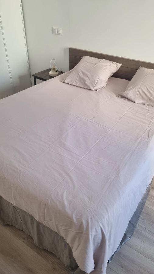 Appartement Luxueux Dans Maison Bourgeoise Parisienne 勒瓦卢瓦-佩雷 外观 照片